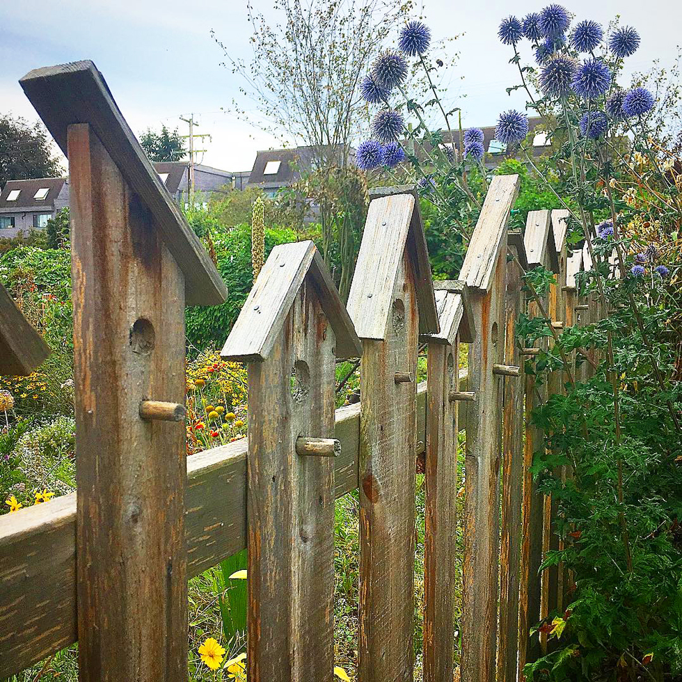 Creative Fence Ideas Fence Styles DIY Vertical Garden