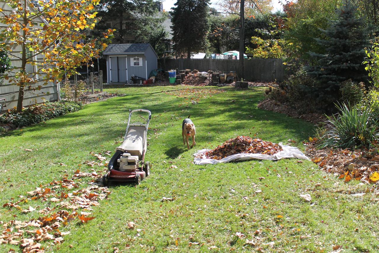 First Time Home Buyer Lawn Care First Time Home Buyer Lawn Care