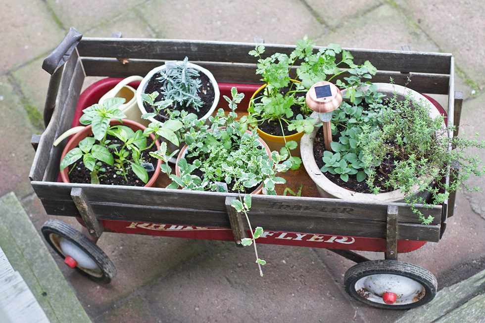 Garden Ideas For Spring spring landscaping ideas | simple garden ideas | houselogic Garden Ideas For Spring spring landscaping ideas | simple garden ideas | houselogic
